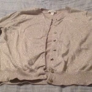 Sparkly silver cardigan